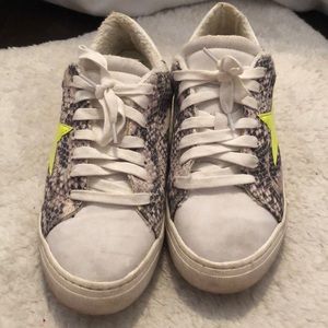Steve madden Sneakers